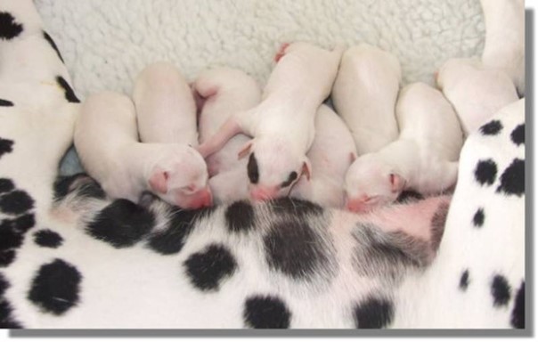 Deze afbeelding heeft een leeg alt-attribuut; de bestandsnaam is Afbeelding1.jpg